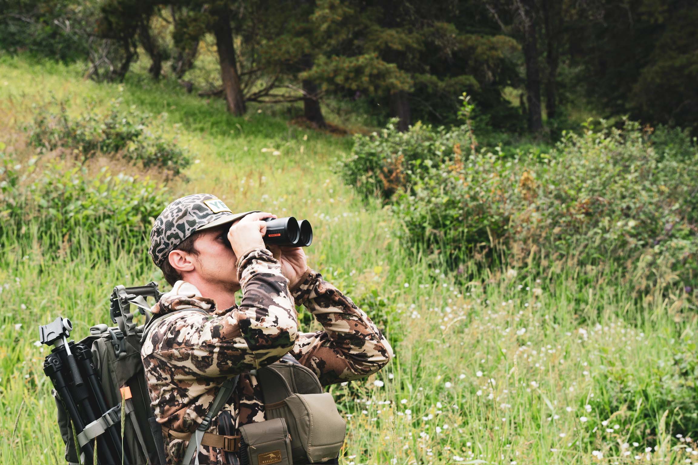 Summit ED Binoculars used in hunting